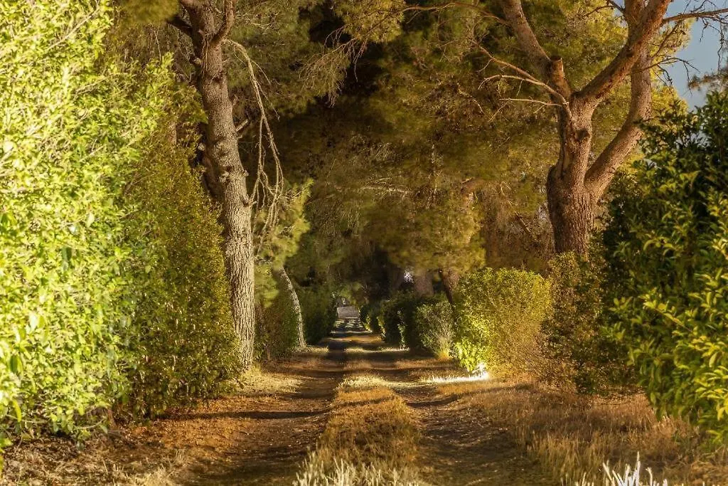Villa Salento Con Piscina-1